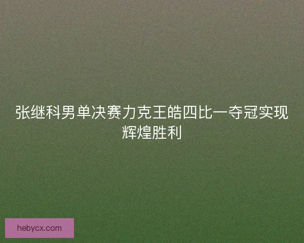 张继科男单决赛力克王皓四比一夺冠实现辉煌胜利